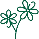 Flowers icon