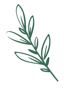 Decoration branch