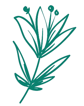 Decoration branch