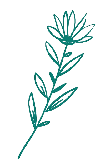 Decoration branch