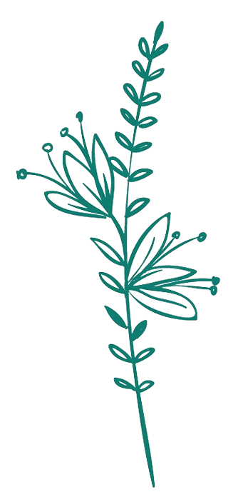 Decoration branch