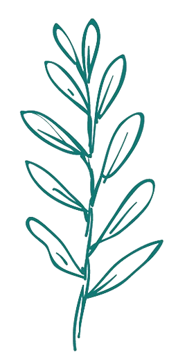 Decoration branch