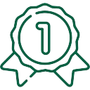 Medal icon